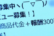 通販などのヤラセレビュアー「罪悪感はない」「副業感覚でやっている」これは減りませんわ･･･