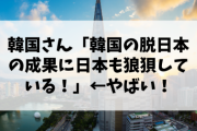 【日本敗北】韓国さん「日本の輸出規制は毒ではなく薬」「脱日本の成果に日本も狼狽！」←やばいな！