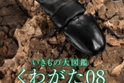 【画像】最近のガチャガチャ、ほぼ本物ｗｗｗｗｗｗｗｗｗ