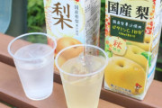 紙パックの梨ジュースって美味しいよね