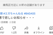 【悲報】エガちゃんねるさん、低評価率50%超の大炎上