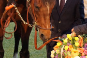 【競馬】引退式で花を食べてしまうモーリスが可愛すぎる件ｗ