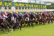 【競馬】　今年の2歳馬に100%いる馬名