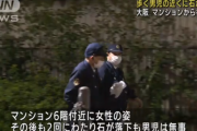 【悲報】 大阪のマンション、小学生に向けて石を投げる女？が現れてしまう