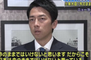 【悲報】謎ポエム大臣こと小泉進次郎氏の登場は、日本が人材採用に○○を求め続けた当然の帰結だった・・・