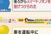 【正論】豊田真由子氏「日本は50年遅れのジェンダー意識。国際社会の中国共産党みたいなものです。」