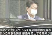 【悲報】日本政府、「アベノマスクは効果アリ」と閣議決定