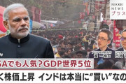 楽韓さん、本日の動向 - インドは投資に値するか否か、との話