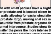 【前立腺！】ペニスの小さい男性、メスの素質があることが判明