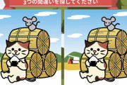 【画像】難しすぎる間違い探し、発見されるｗｗｗｗｗｗｗｗ