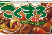 ぶっちゃけ市販のカレールーで1番美味しいのはどれやねん？