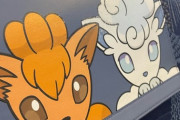 【ポケモン飛行機】段原瑠々「ロコンという子みたいです?レアだったみたい～って、私の同期ちゃんに報告した?」