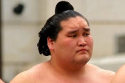 日本の大相撲の見事な復活劇に海外の相撲ファンも感動！（海外の反応）