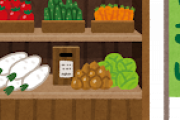 ニートだけど「野菜の無人販売所」に持っていって野菜売ってるけど質問ある？