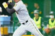 阪神・佐藤輝明　シート打撃での〝二塁打発進〟に「（打撃フォームの）大枠はできています」
