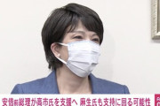 安倍の掌で踊らされた？　～　【自民党総裁選】安倍前総理に続き麻生副総理も高市氏支持の可能性