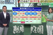 【画像】甲子園の今後の日程、滅茶苦茶