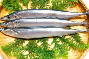北海道でサンマの初水揚げ、取れたのは24匹だけ　価格はキロ6万円超え