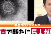 クルーズ船内で事務業務に当たっていた厚労省職員が感染　患者とは２メートル以上離れ接触もせず