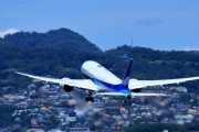 「有能な空港」と聞いて思いつくものｗｗｗｗｗｗｗｗｗｗ