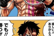 【画像】ルフィのライバルってスモーカーでもキッドでも無くて“コイツ”だよな？？？