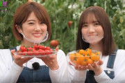 【動画あり】終始可愛すぎるwww 樋口日奈×田村真佑『乃木坂46と一緒に、国消国産を学ぼう！』公開へ！！！！！！