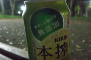ボッチで夜の公園で飲んでる(´・ω・`)