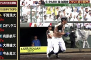 【プロ野球100人分の1位番外編】バット折り部門2019ｗｗｗｗｗｗ