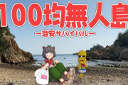 ぽこピー、ガッツリ無人島生活しとるわ