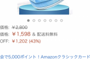 アマゾンに50枚1500円のマスクあったからつい買っちゃったけど