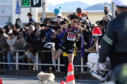 【画像】箱根駅伝に犬が乱入ｗｗｗｗｗ