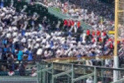 【画像】 甲子園の中継、応援席で思いっきり男性のキノコが映ってしまう衝撃放送事故