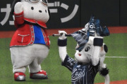 【画像】ハントブルーのベルド西武楽天戦に行ってきたよ
