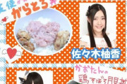 【画像】ぐうかわアイドルさん、オタクに残飯を食わせてしまうｗｗｗｗｗｗｗｗ