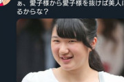 妊婦「すいません、そこ優先席なんですけど…」愛子さま「ア"ア"ッ"ッ"！！」