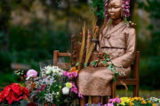 ハーバード大学周辺に少女像を設置しよう…請願運動本格化＝韓国の反応