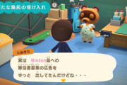 『あつまれ どうぶつの森』島の名前が「Ninten島」だった件