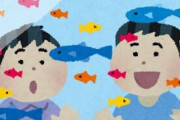 なんJアクア民さん、親戚の子供に水槽を魚を全滅させられてしまう・・・