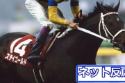 【競馬】ステイゴールド産駒10歳馬ザスリーサーティがなんとJRA初勝利【障害戦】