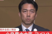 小泉進次郎農水相、炎上
