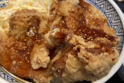 (´･ω･`)吉野家のからあげ丼うんまい