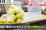 何でTPPに入れるって思った？　～　【ほろよい】日本の高級ぶどう また“パクリ”　韓国で無断栽培 驚きの言い訳「韓国の農家には日本のように匠の精神はない」