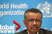 [遅]WHOが新型肺炎で緊急事態宣言を発表[海外の反応]