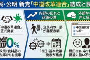 日本保守党議員が提案した候補名『中国協賛党』バズっていると聞いた野田代表、本当にキレる