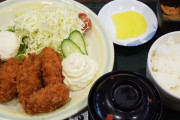 【画像】カキフライ定食ってたいていは「みすぼらしい」よな…