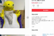 【悲報】メルカリ、とんでもない「ぬいぐるみ」が出品されてしまうｗｗｗｗ