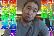 【YouTuber】「ざまあみろ」#シバター、へずまりゅう再逮捕に快哉　  [爆笑ゴリラ★]