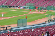 カープが500人の観客を入れた結果！全体練習も再開し大きな一歩