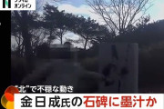 北朝鮮で撮影？金日成主席の石碑に墨汁かける動画がSNSに「世襲の命を絶つ」反金一族の団体が声明…活動活発化か