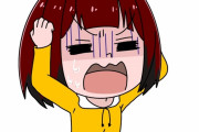 【呆然】初めて買ったクロスバイクが3日で壊れた結果ｗｗｗｗｗｗｗｗｗｗｗｗｗｗｗ